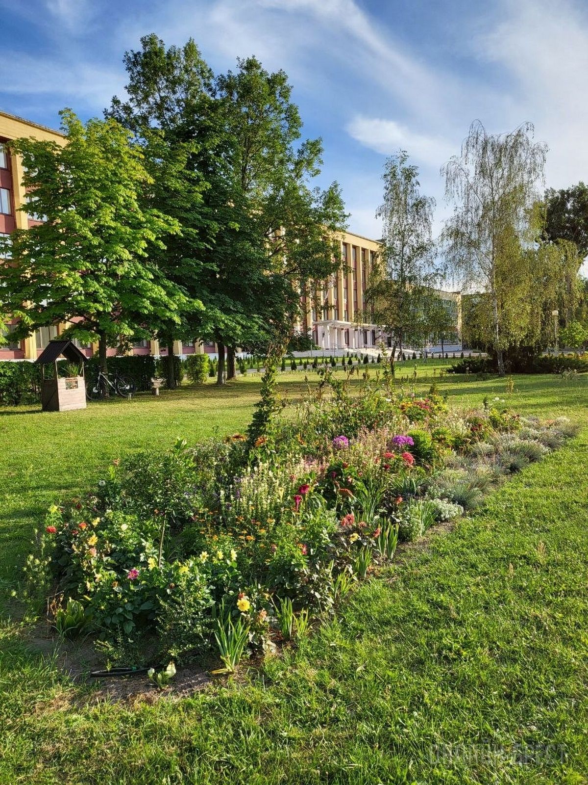 Читатель: Красивая клумба в Бресте на территории БрГТУ