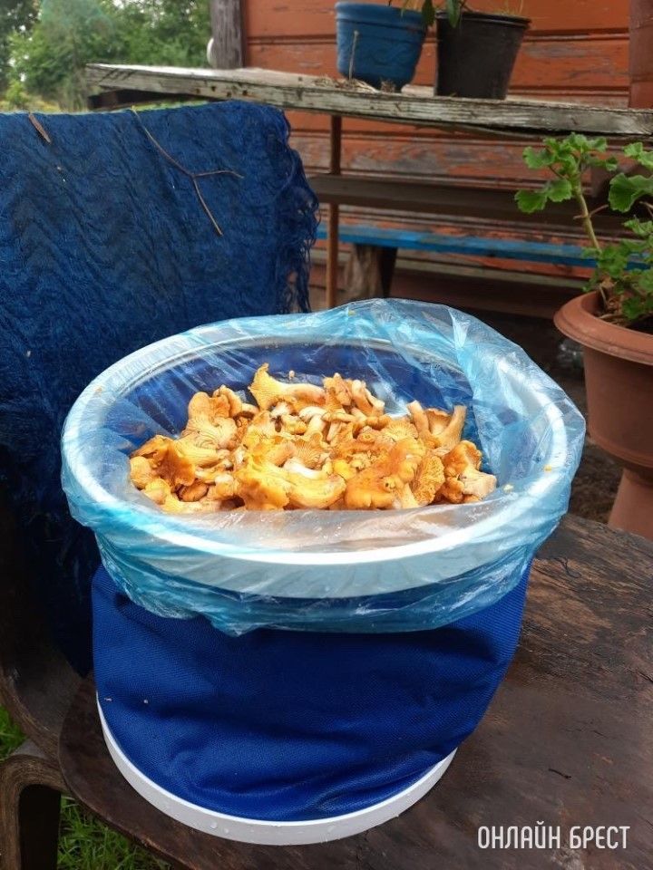 Вот такая красота уже есть возле деревни Лыщики в Брестской области