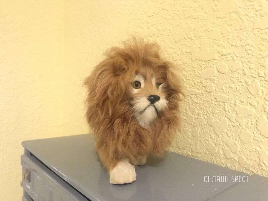 Читатель: В подъезде одного из многоквартирных домов Бреста, микрорайон Вулька. Респект жильцам!