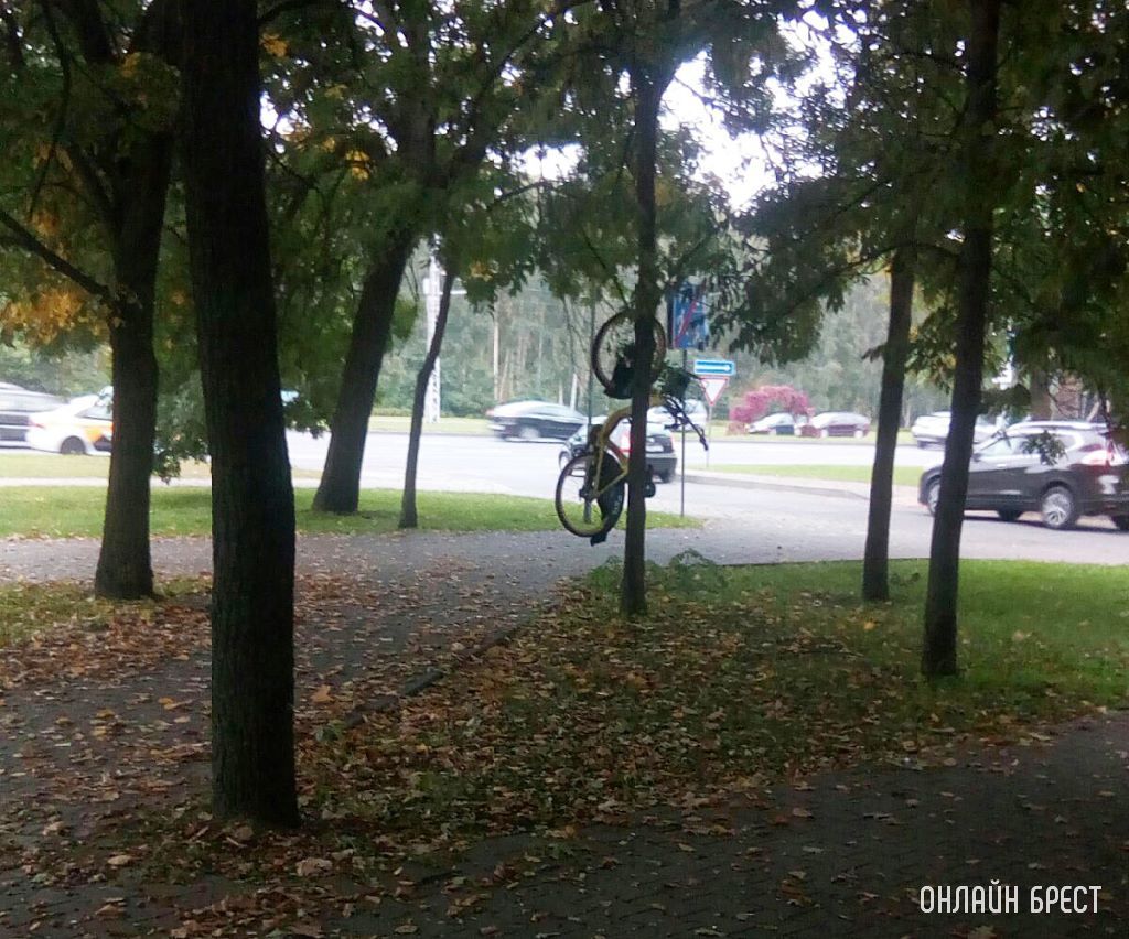 Брест, ул. Московская. За что так не любят эти велосипеды?