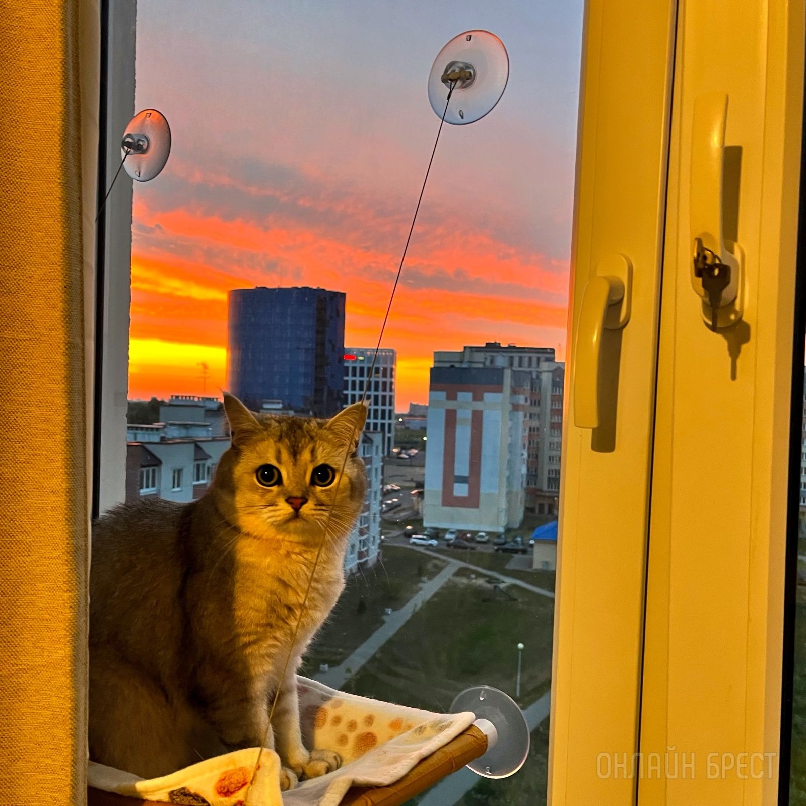 Читатель: Сегодня в Бресте был чудесный рассвет