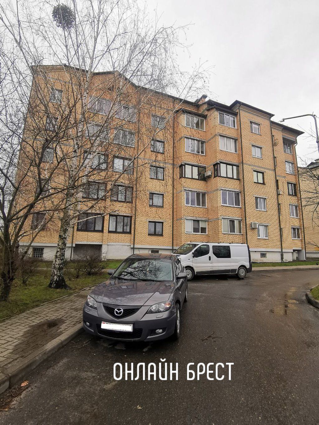 Читатель: В Бресте неизвестный повредил автомобиль