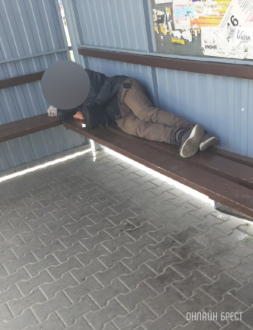 Читатель: Такую картину вот уже пятый день наблюдают жители микрорайона Киевка в Бресте