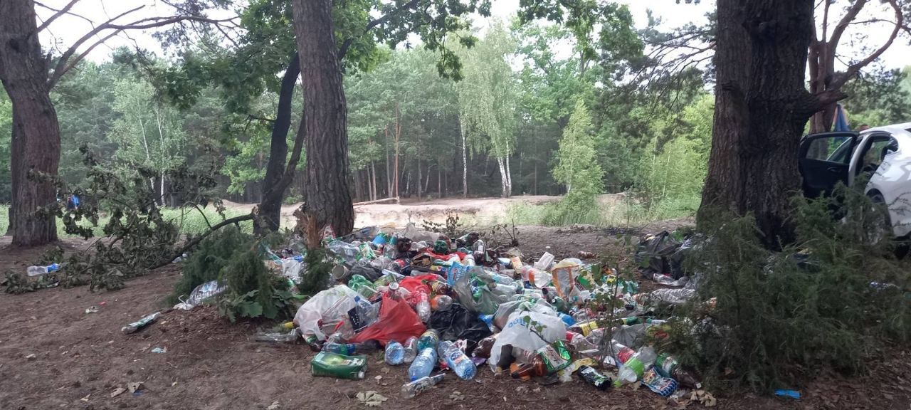 Как отдыхать не нужно. Красный двор. Лес. Правый берег озера