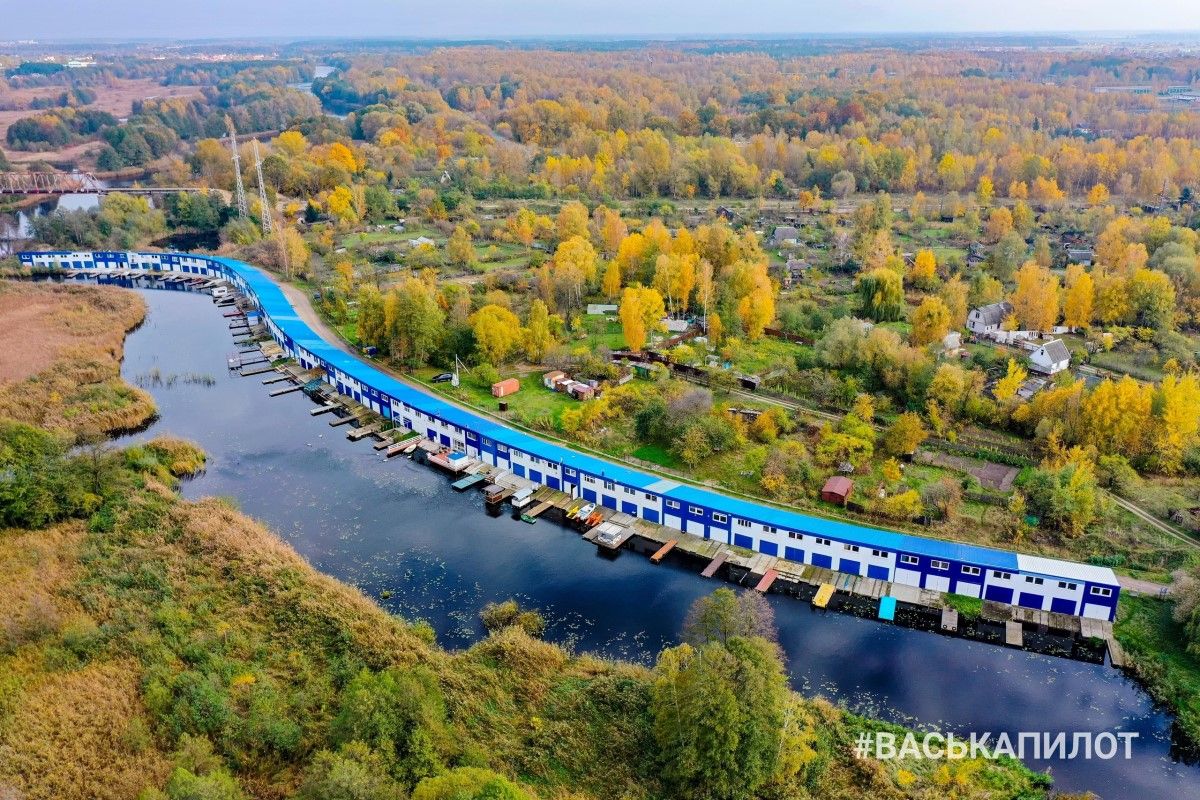 Вот и осень пришла