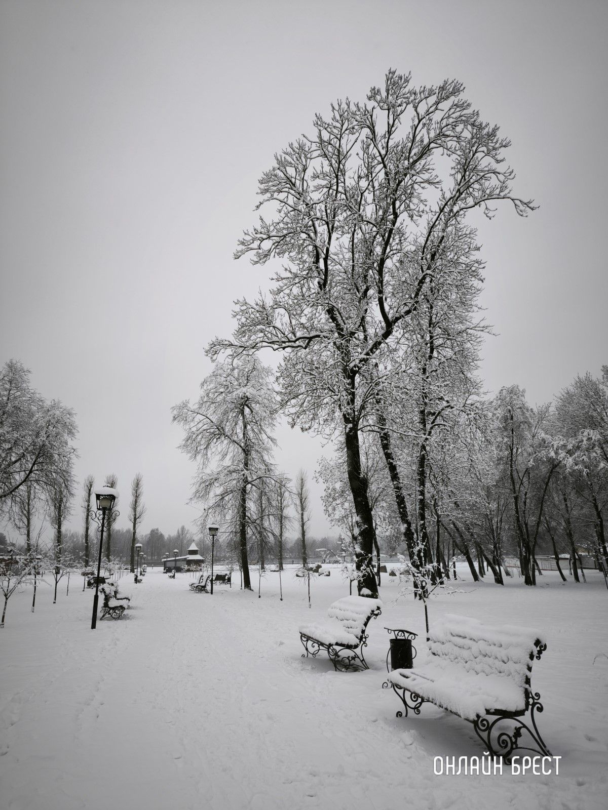 Прогулка по снежному Бресту