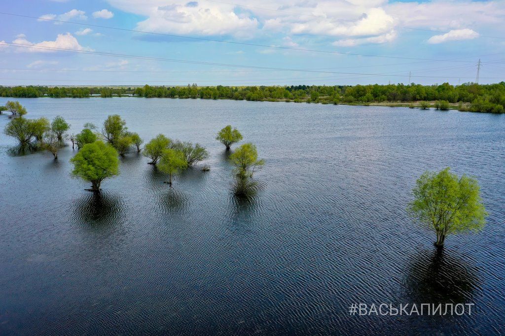 Посмотрите, как красиво! Река Припять во время разлива