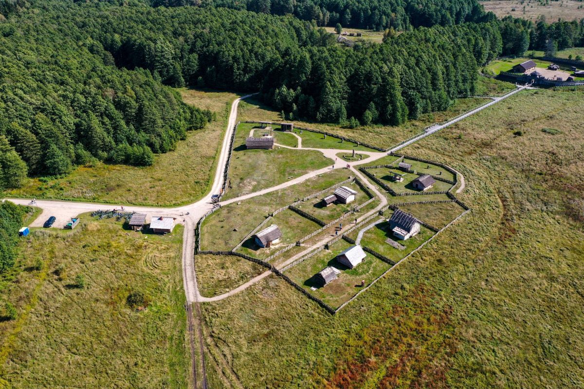 Посмотрите, как выглядит с высоты археологический музей под открытым небом в Беловежской пуще