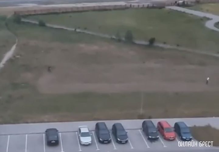 До скольки можно проводить такие работы? Видео