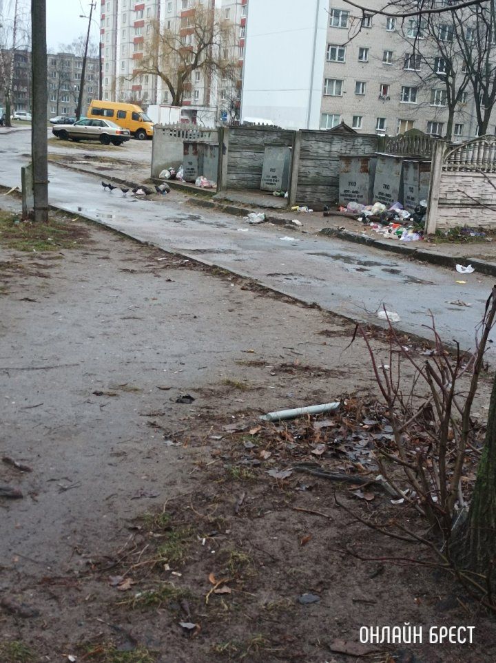 Читатель:  Брест, м-н Восток. Такой «порядок» у нас здесь не редко :(