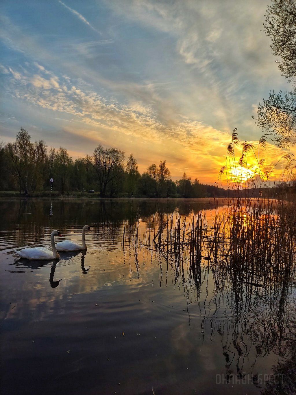 Читатель: Весенний рассвет в городе-спутнике Бреста (Жабинка)