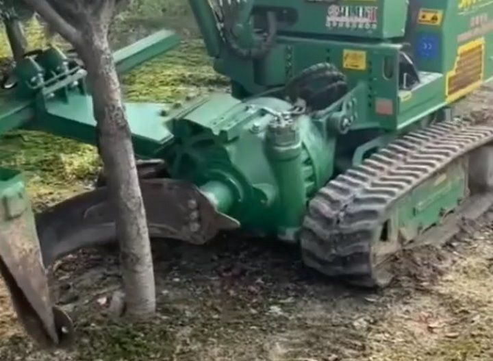 Читатель: Почему бы городу не приобрести машину для пересадки деревьев?