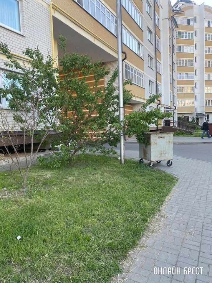 Читатель: Брест, бульвар Космонавтов, 40. Под окном дома круглые сутки стоит мусорный контейнер. Он ведь должен стоять в шахте мусоропровода?