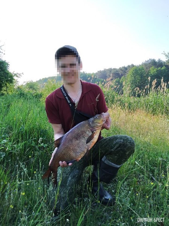 Вот такую рыбу поймал брестчанин в реке Мухавец