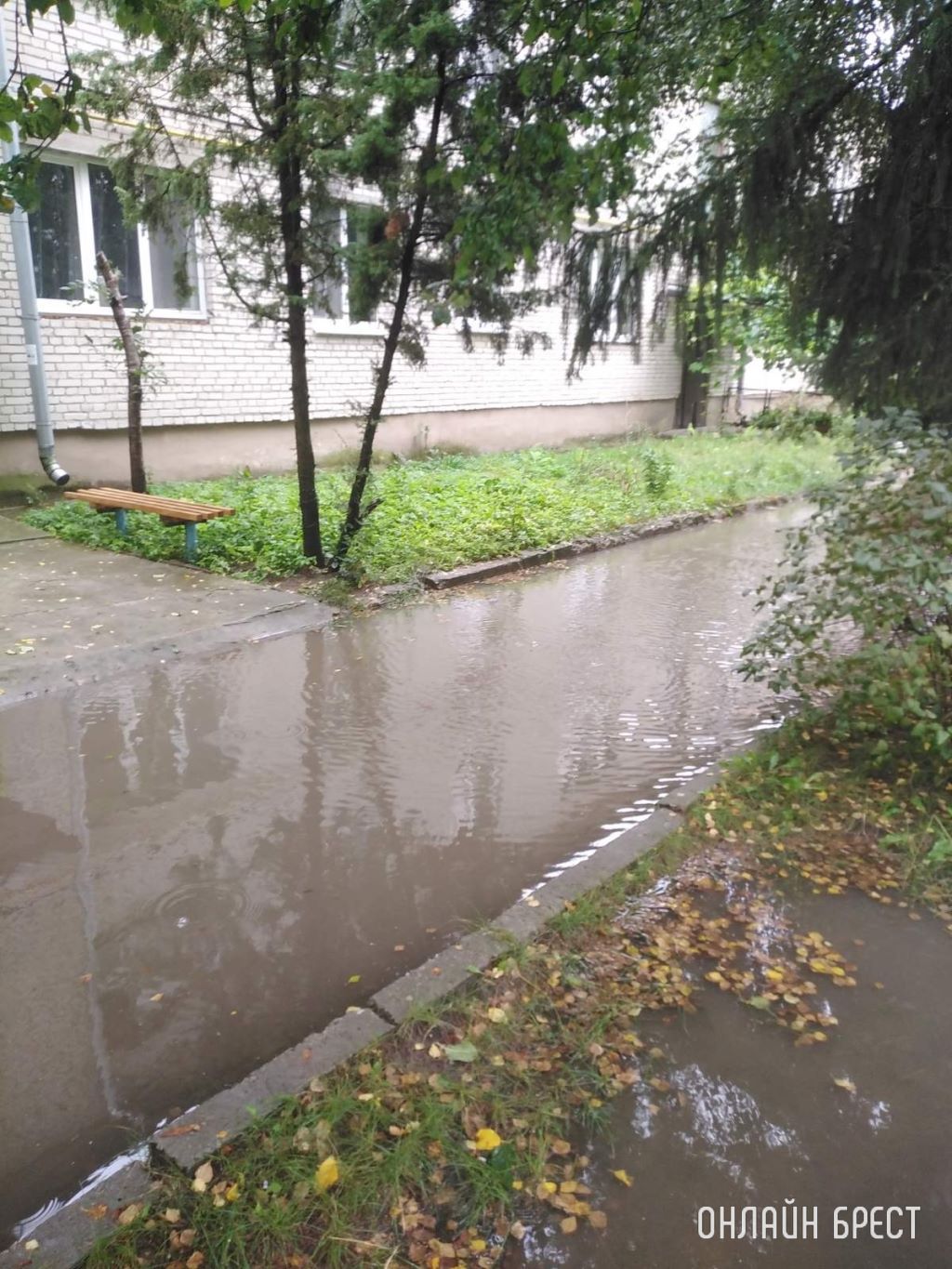 Вот так всегда после дождя, выйти нереально, особенно с ребёнком. Брестский район, д Ковердяки, ул. 40 Лет Победы, д. 9