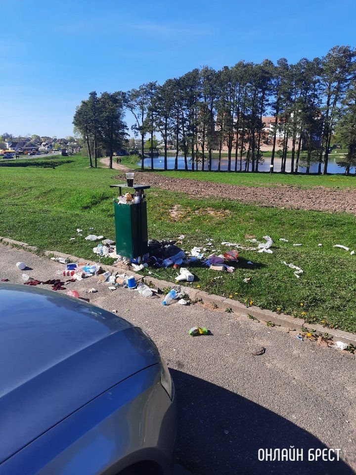 Читатель: Приехали Мирский замок посмотреть, а  тут такое...