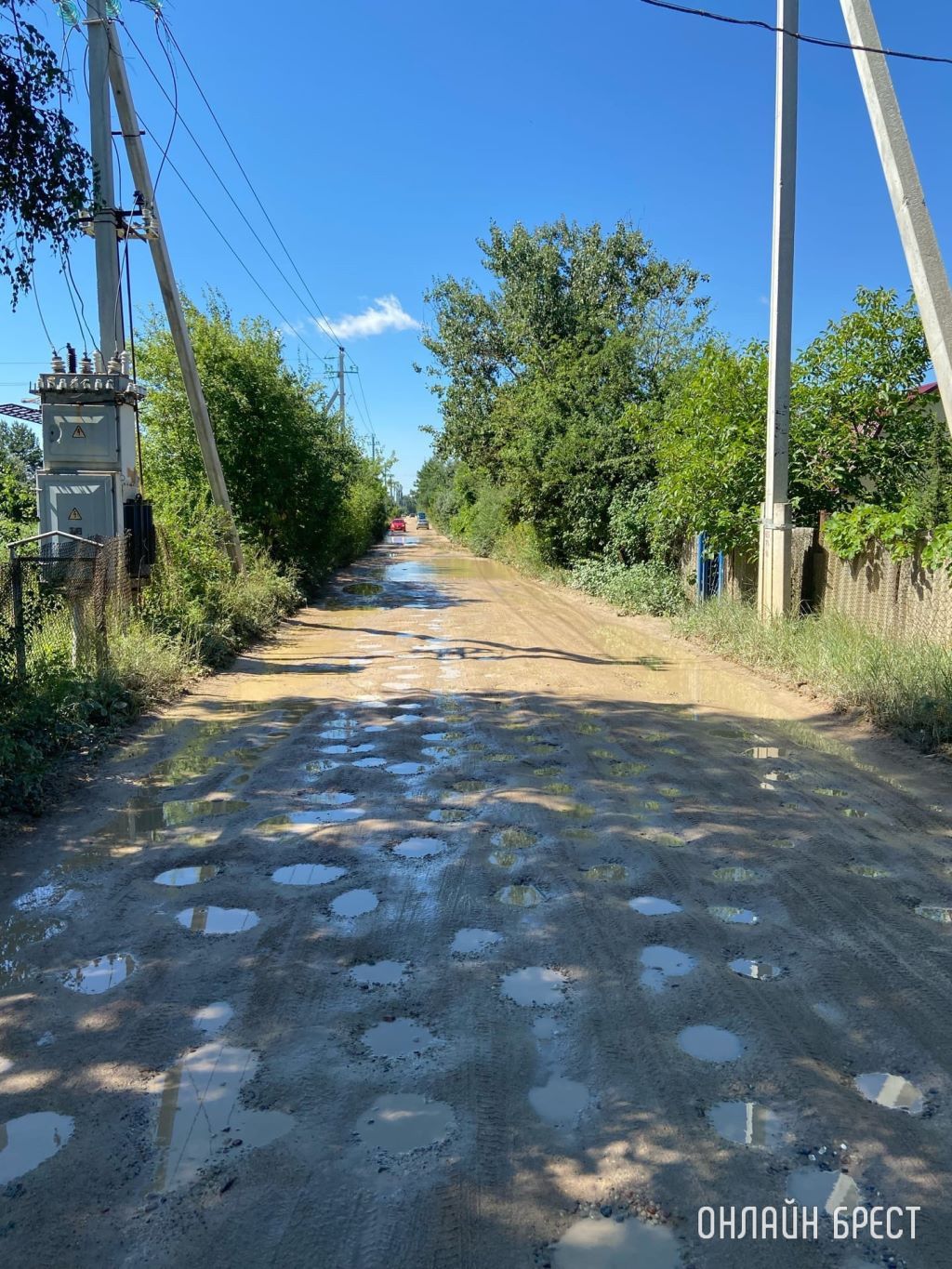 Читатель: Дорога в садовом товариществе «Радуга»