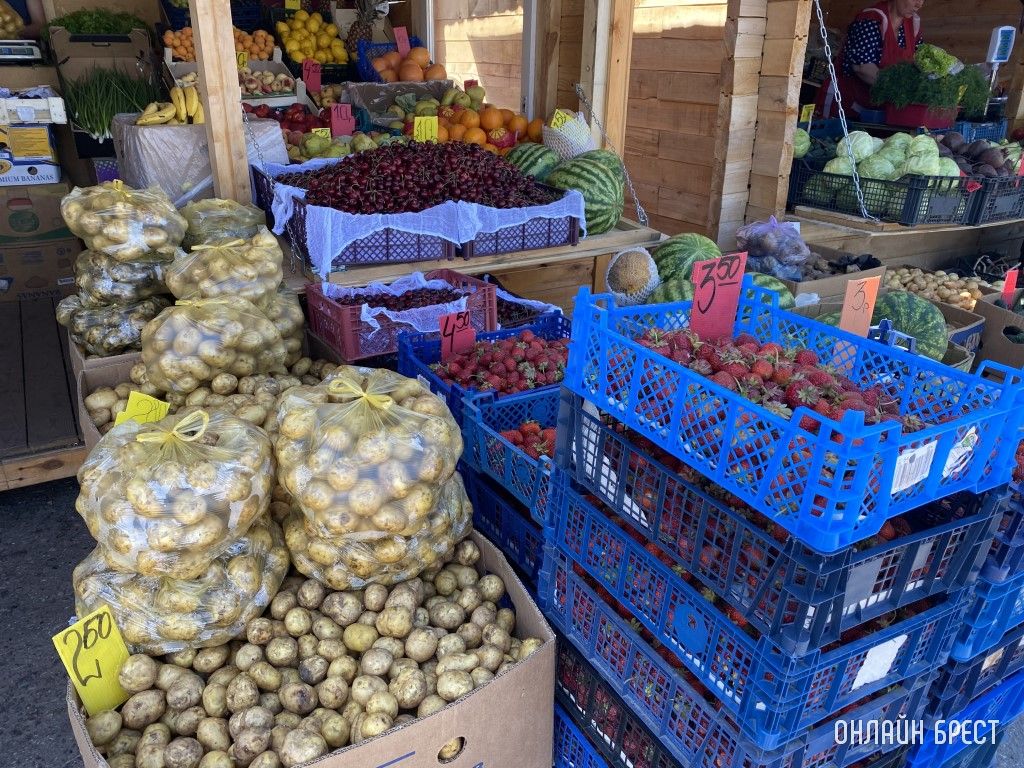 Что почем на рынке за ЦУМом в Бресте. Фоторепортаж