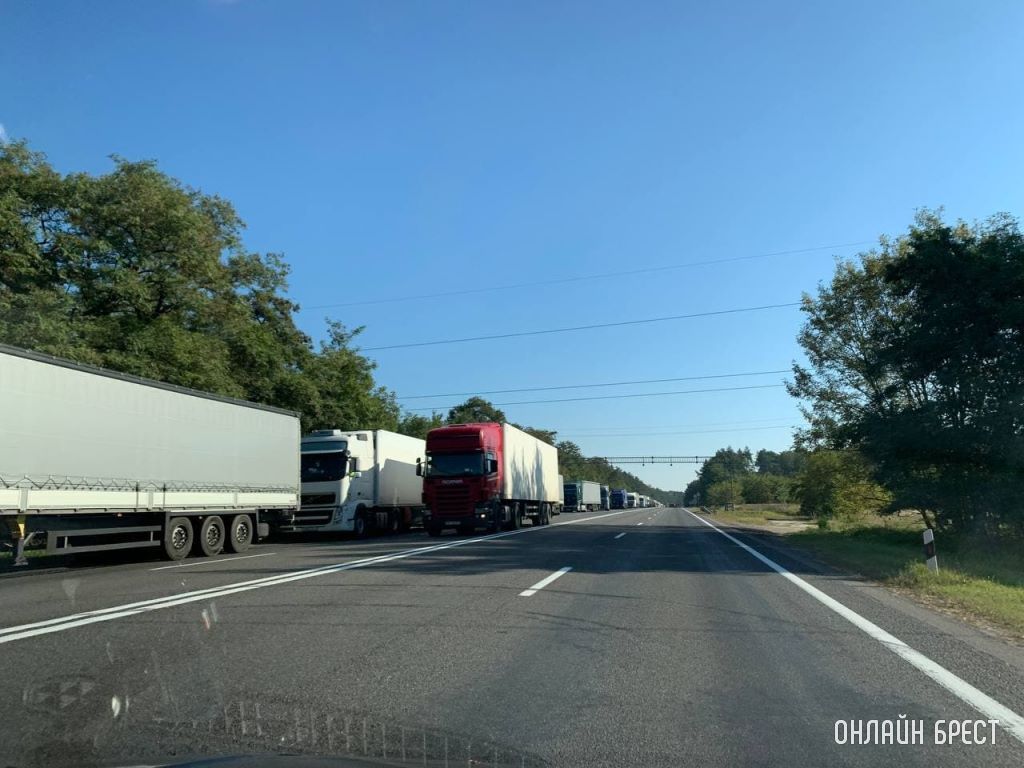 Читатель: Вот столько фур скопилось сегодня под Брестом