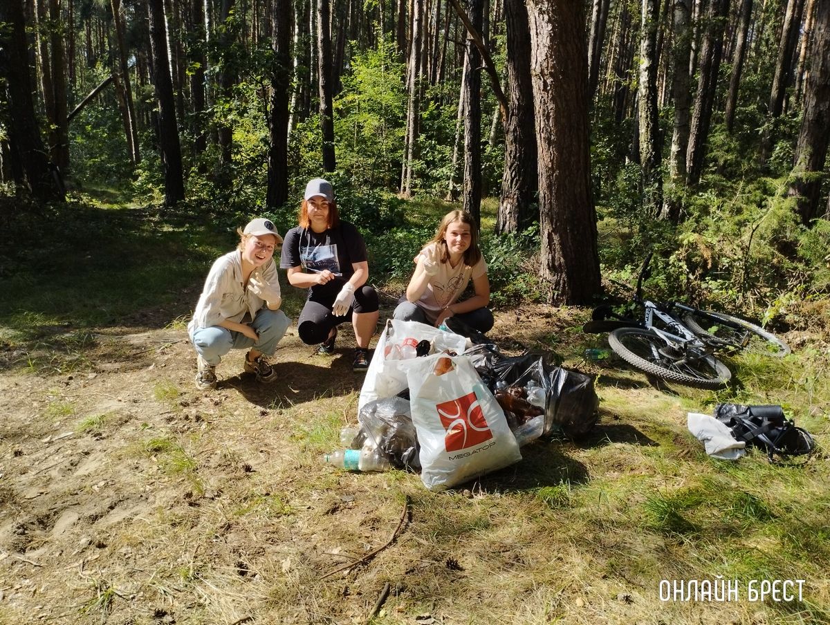 Читательница: С подругами решили собрать мусор в лесу. Вот что получилось. Брестский район, д. Лыщицы