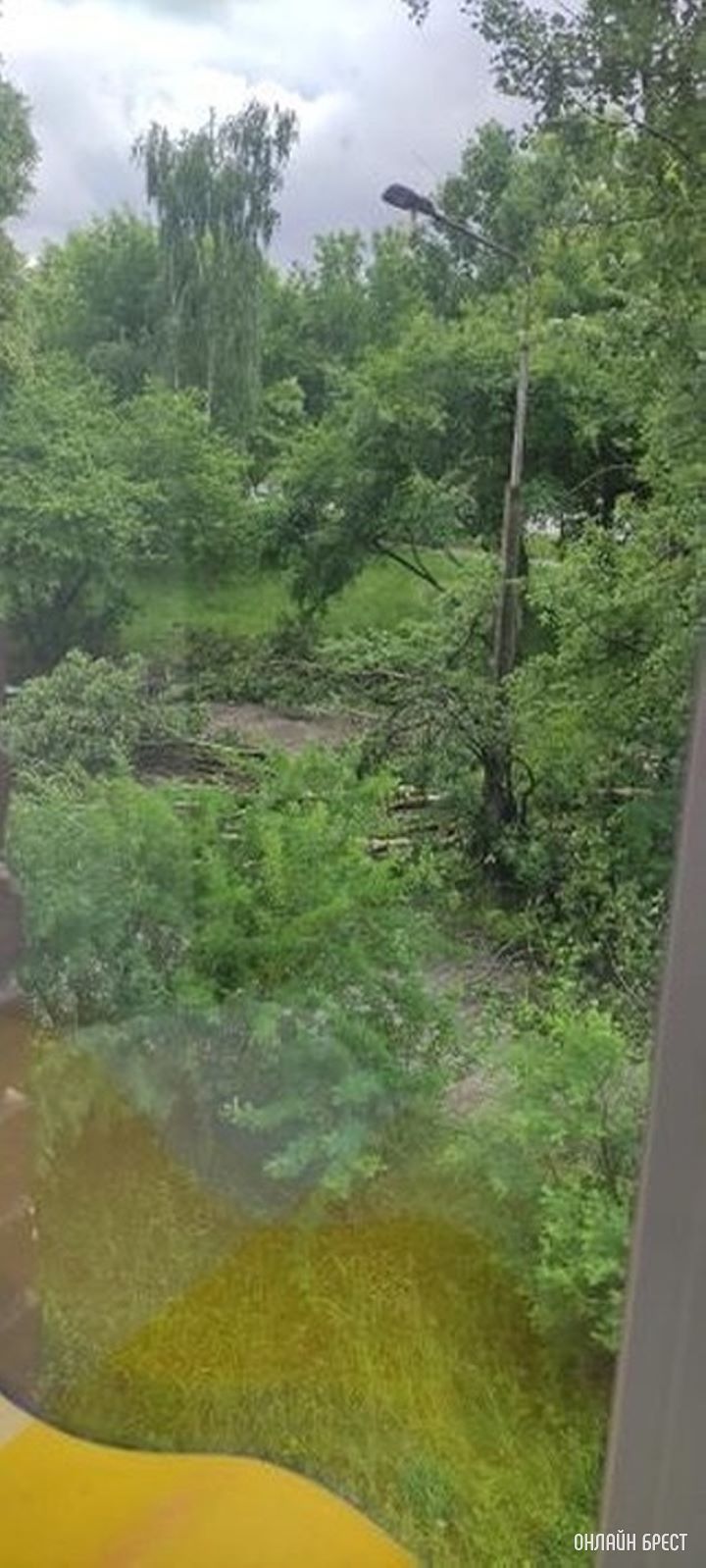 Брест ул. Молодогвардейская 2. За домом раньше стояли машины, теперь лежат деревья