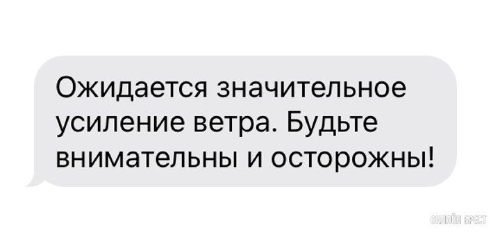 Читатель: МЧС предупреждает о сильном ветре. А вам приходило СМС?