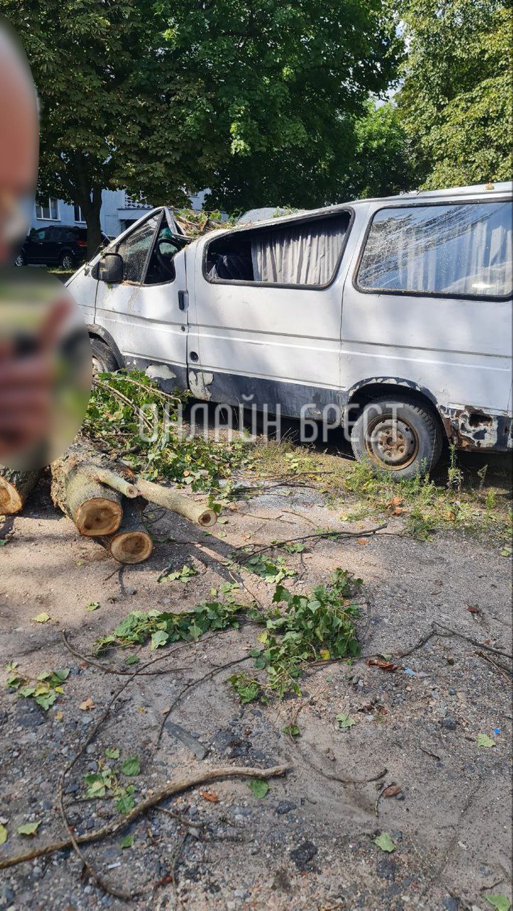 Читатель: Вот что стало с машиной, на которую упало дерево в Бресте