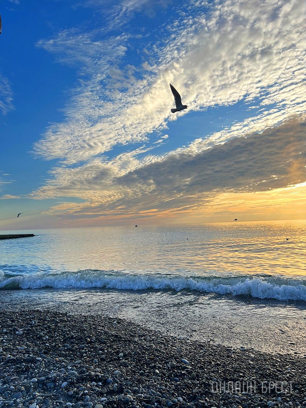 Читательница: Привет Бресту из Сочи!