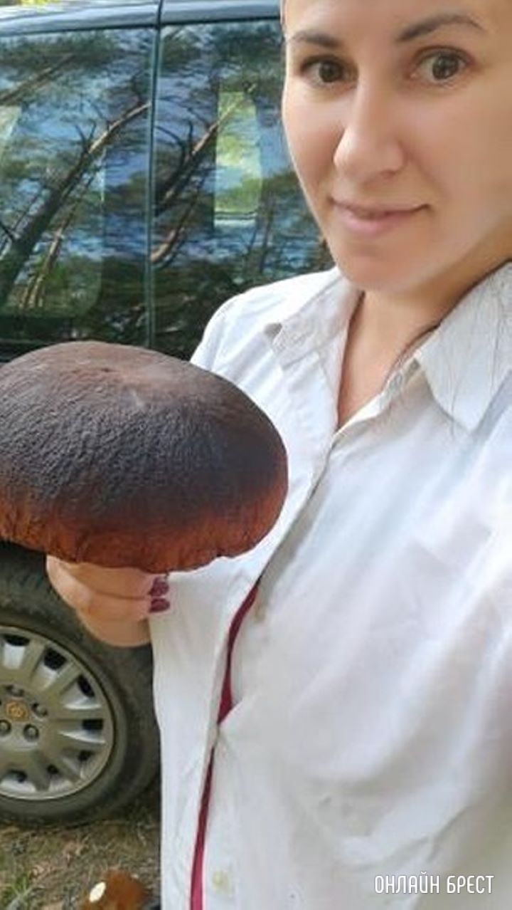 Такие грибочки в Ивацевичском районе (д. Оброво)