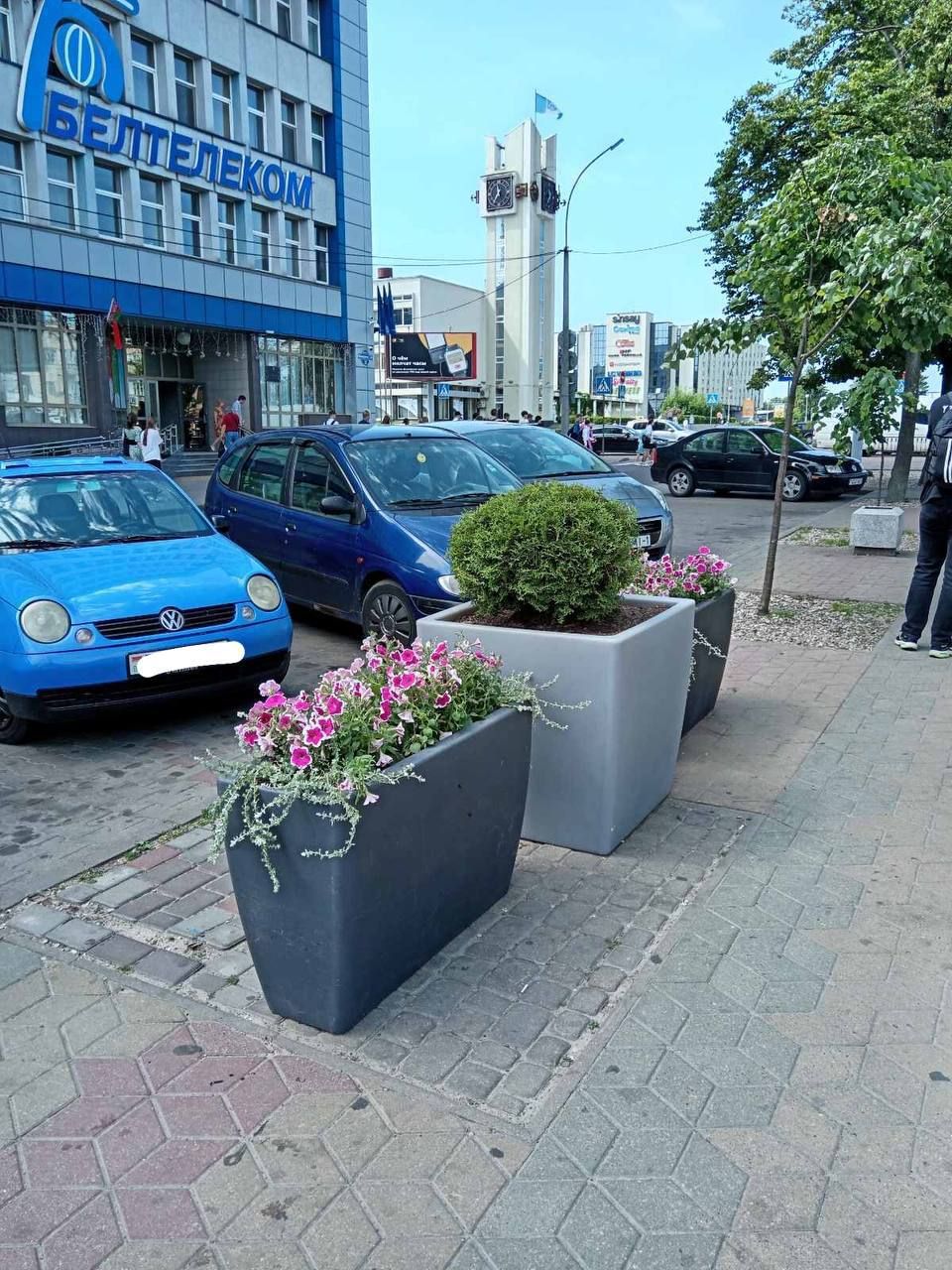 Новые цветочные модули установлены по улице Ленина у сквера Иконникова и на двух остановочных пунктах по проспекту Машерова