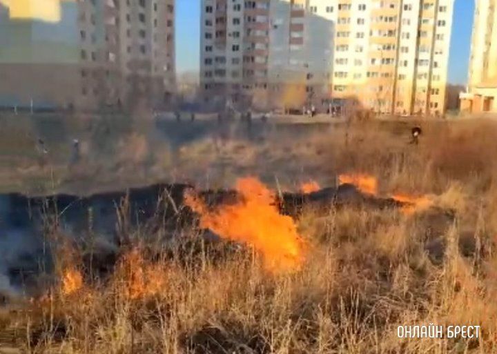 Читатель: Сегодня в Бресте на Криштофовича горела трава