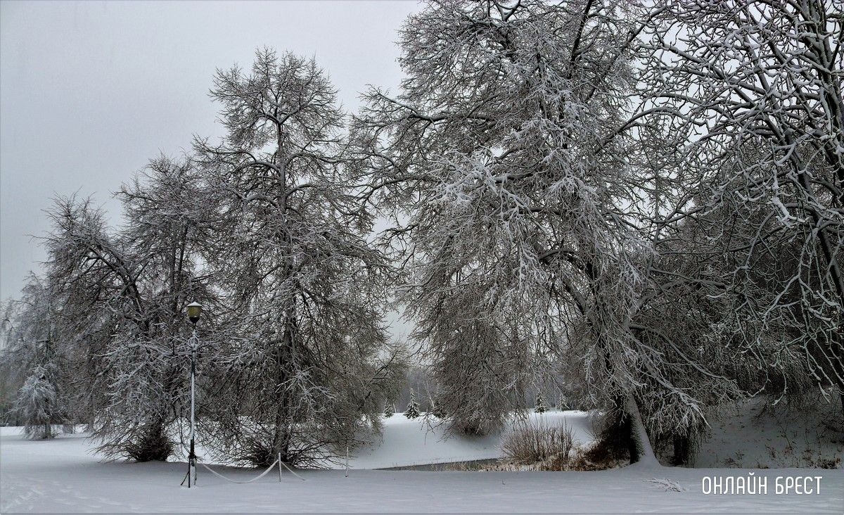 Читатель: Снежный апрель в Брестской крепости
