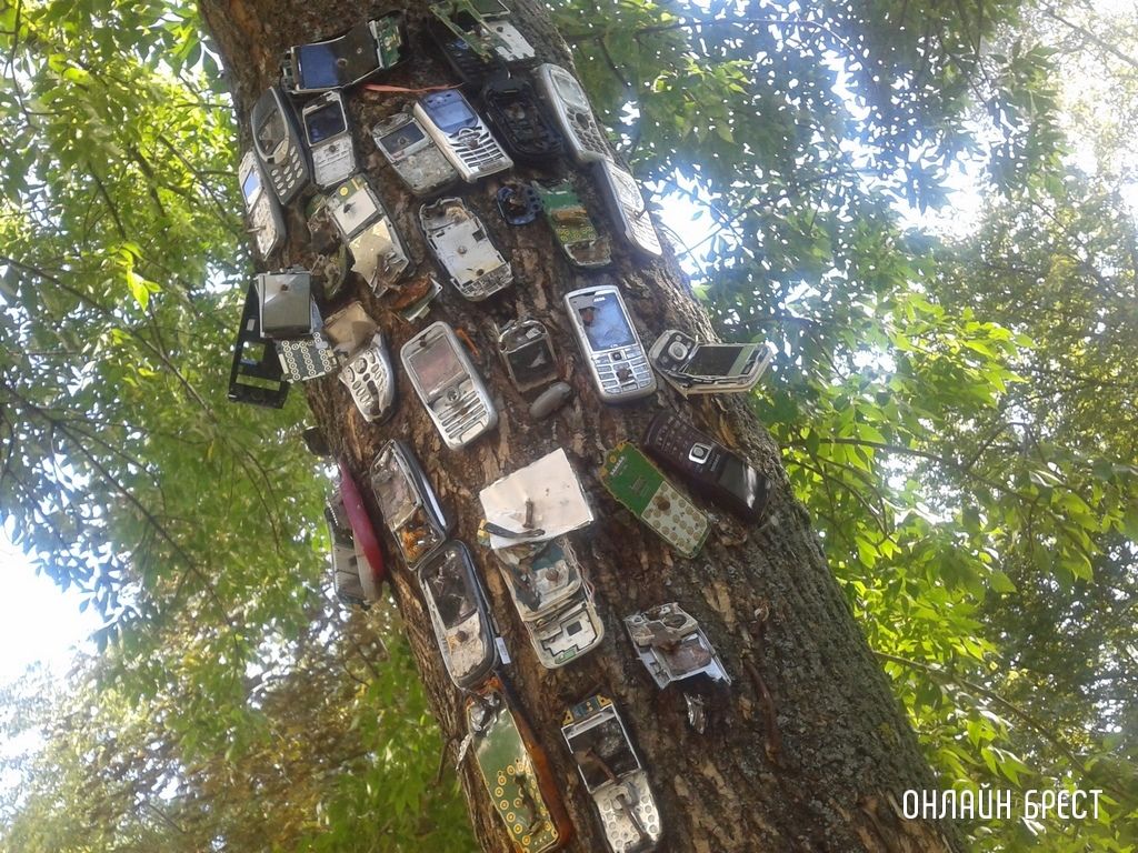 Читатель: Во дворах Бреста. Фото из 2013 года