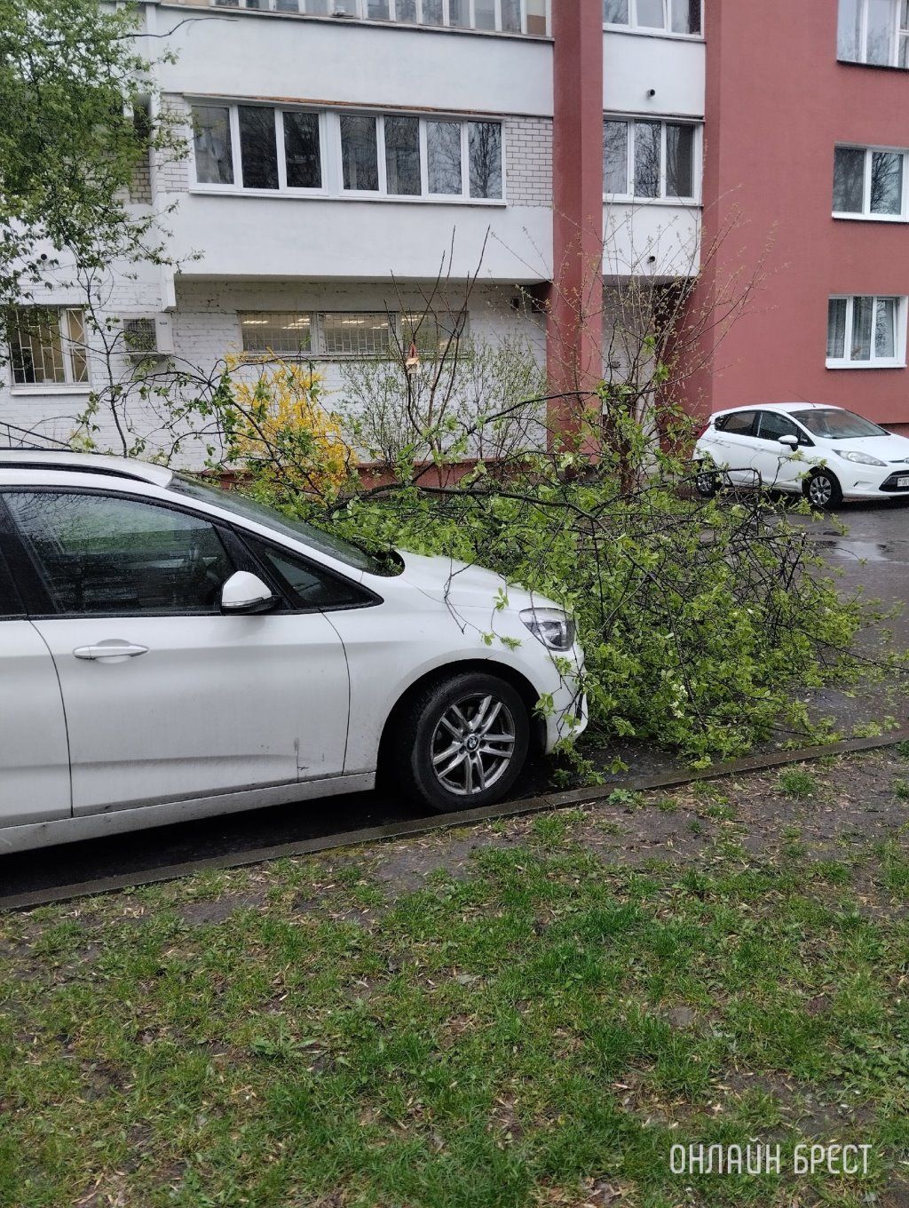 Читатель: Сегодня в Бресте, за остановкой бульвар Космонавтов