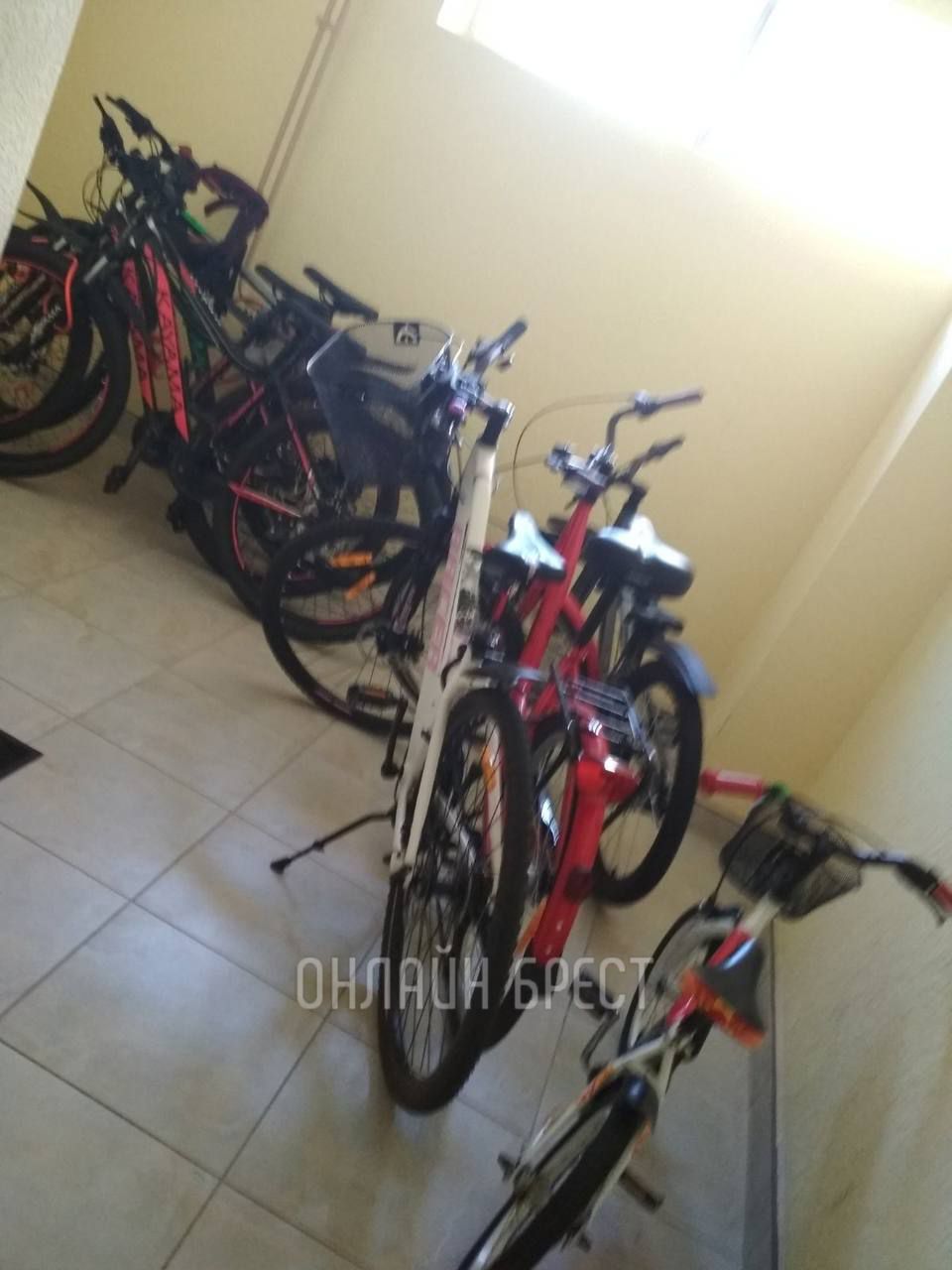 Читатель: Это разве нормально? Ситуация в Бресте на Махновича