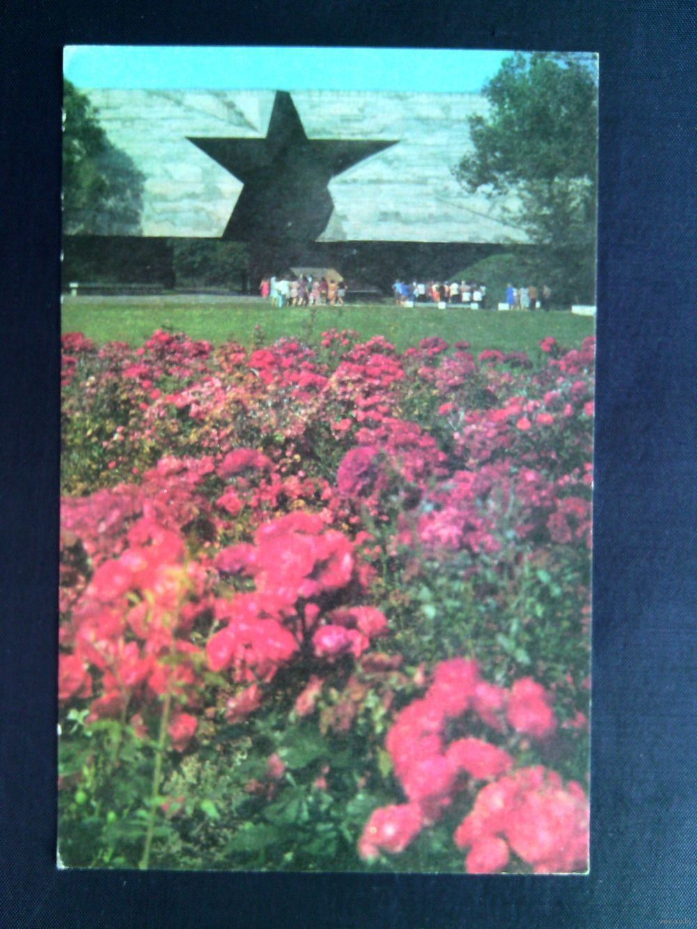 Когда-то Брестская крепость утопала в розах