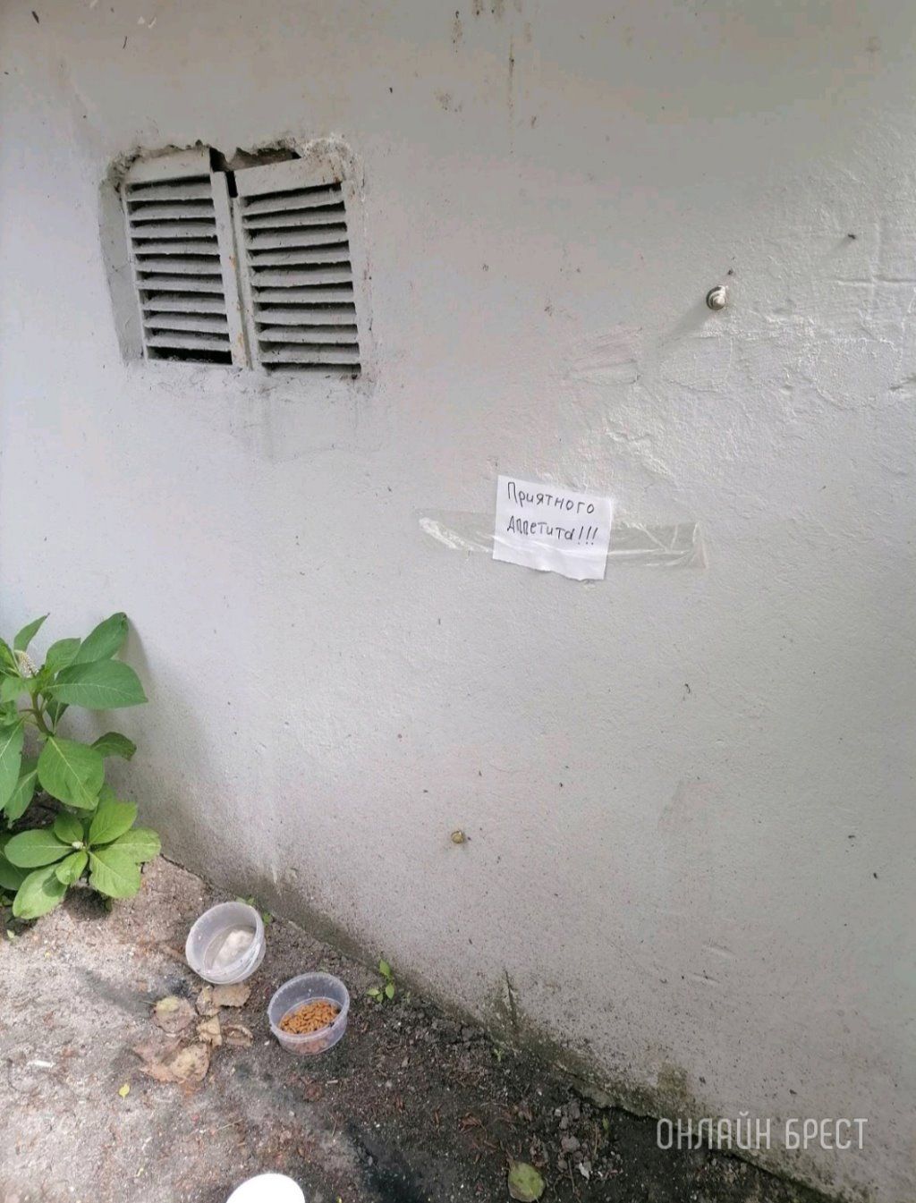 Читатель: Во дворах Бреста