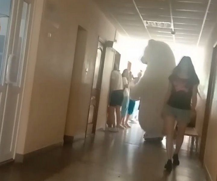 Читатель: В одну из поликлиник Бреста пришёл «медведь»