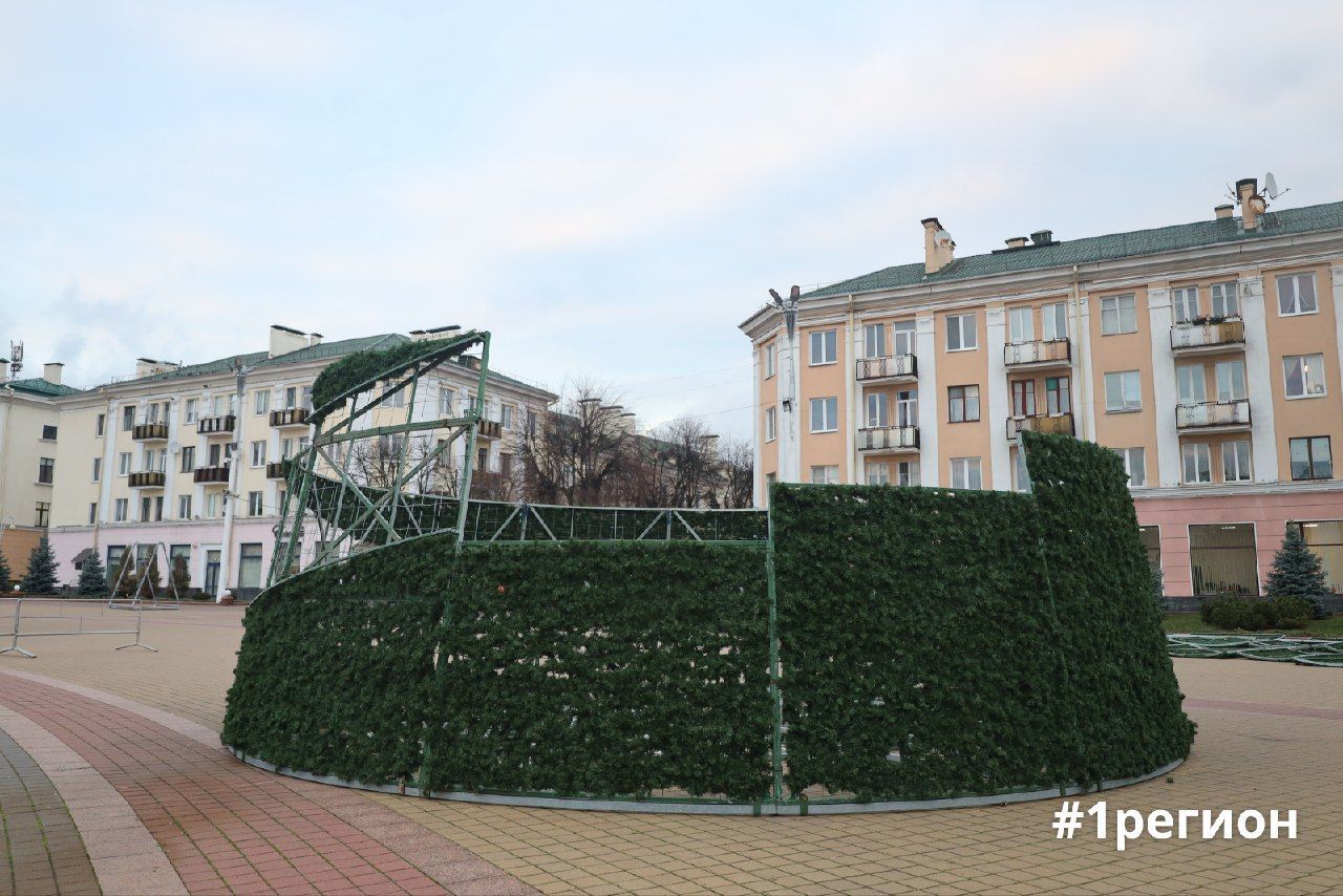 На главной площади областного центра начали устанавливать новогоднюю елку
