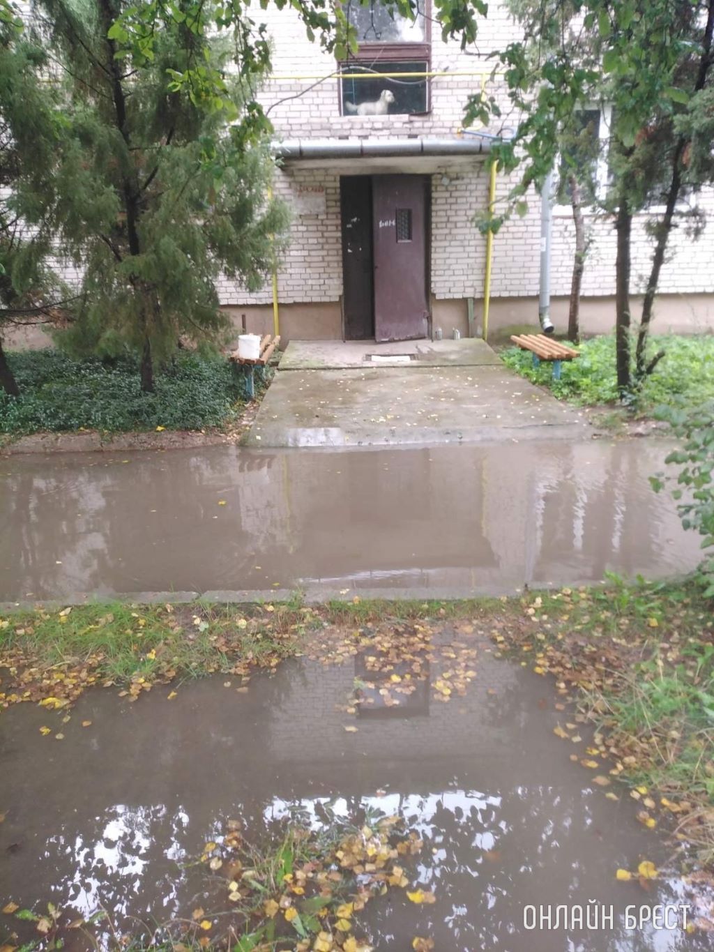 Вот так всегда после дождя, выйти нереально, особенно с ребёнком. Брестский район, д Ковердяки, ул. 40 Лет Победы, д. 9