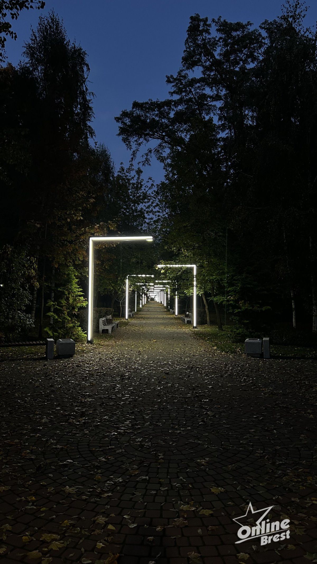 Красота осеннего Бреста: игра света и теней в парке