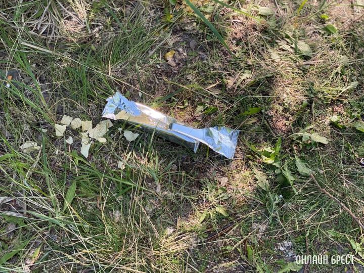 Брестчане, отдыхающие у открытых водоемов, хотелось бы обратиться к вам!