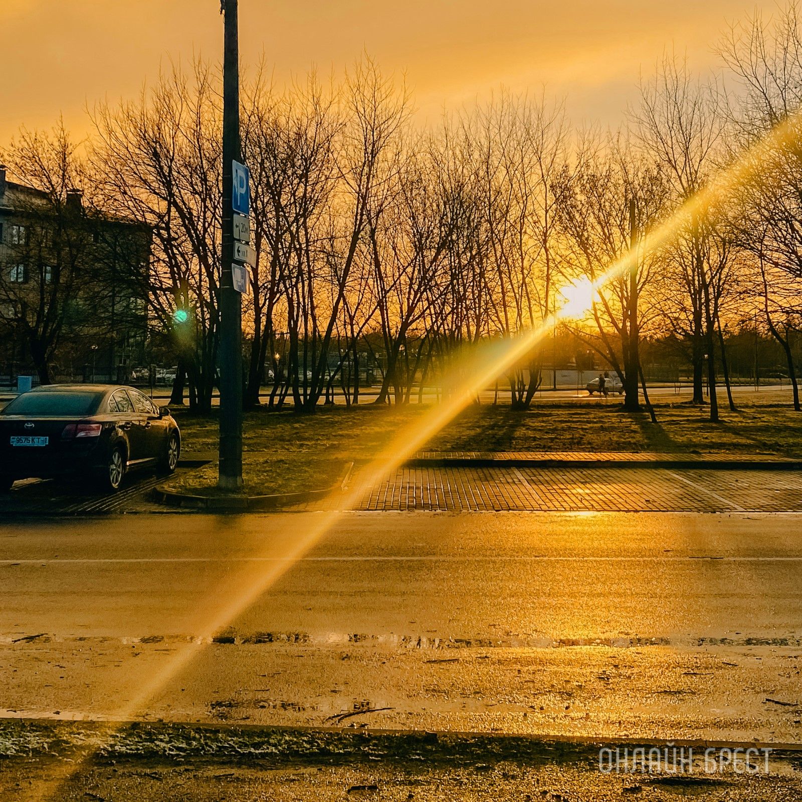 Читательница: Сегодняшний Брест после непогоды