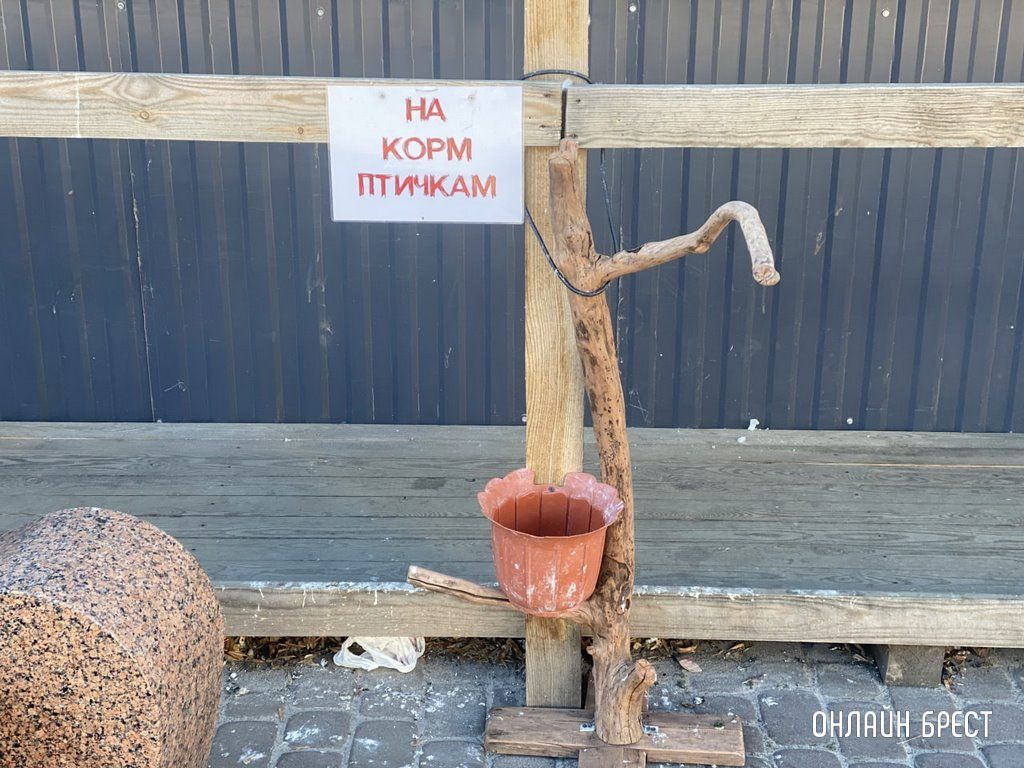 Читатель: Так в Бресте помогают птичкам. Фото сделано на Советской