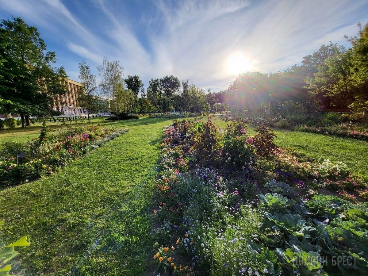 Читатель: Красивая клумба в Бресте на территории БрГТУ