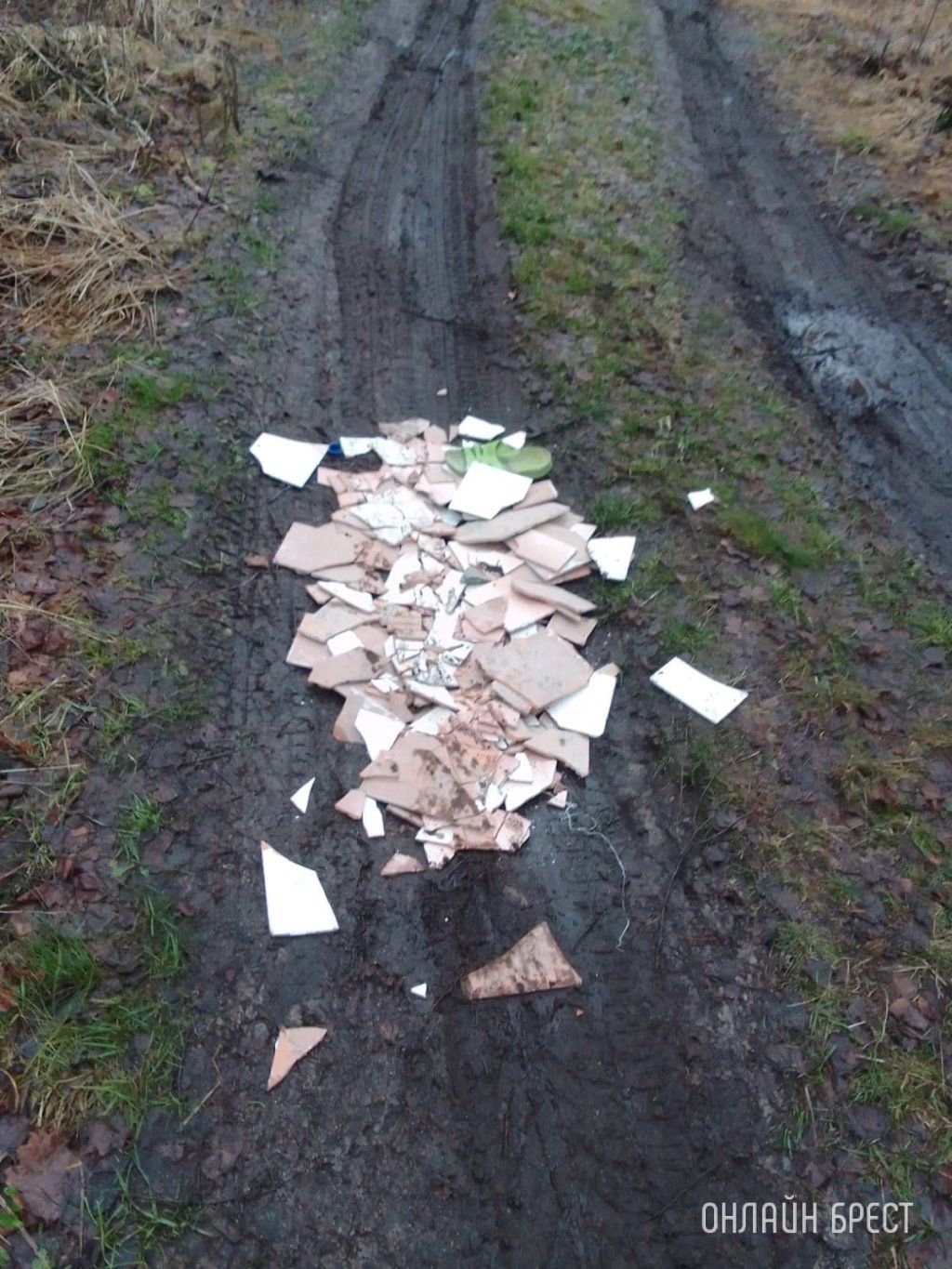 Читатель: Водитель автомобиля высыпал мусор на дорогу. Случай произошёл в лесу недалеко от населенного пункта Мухавец, Разве это нормально?