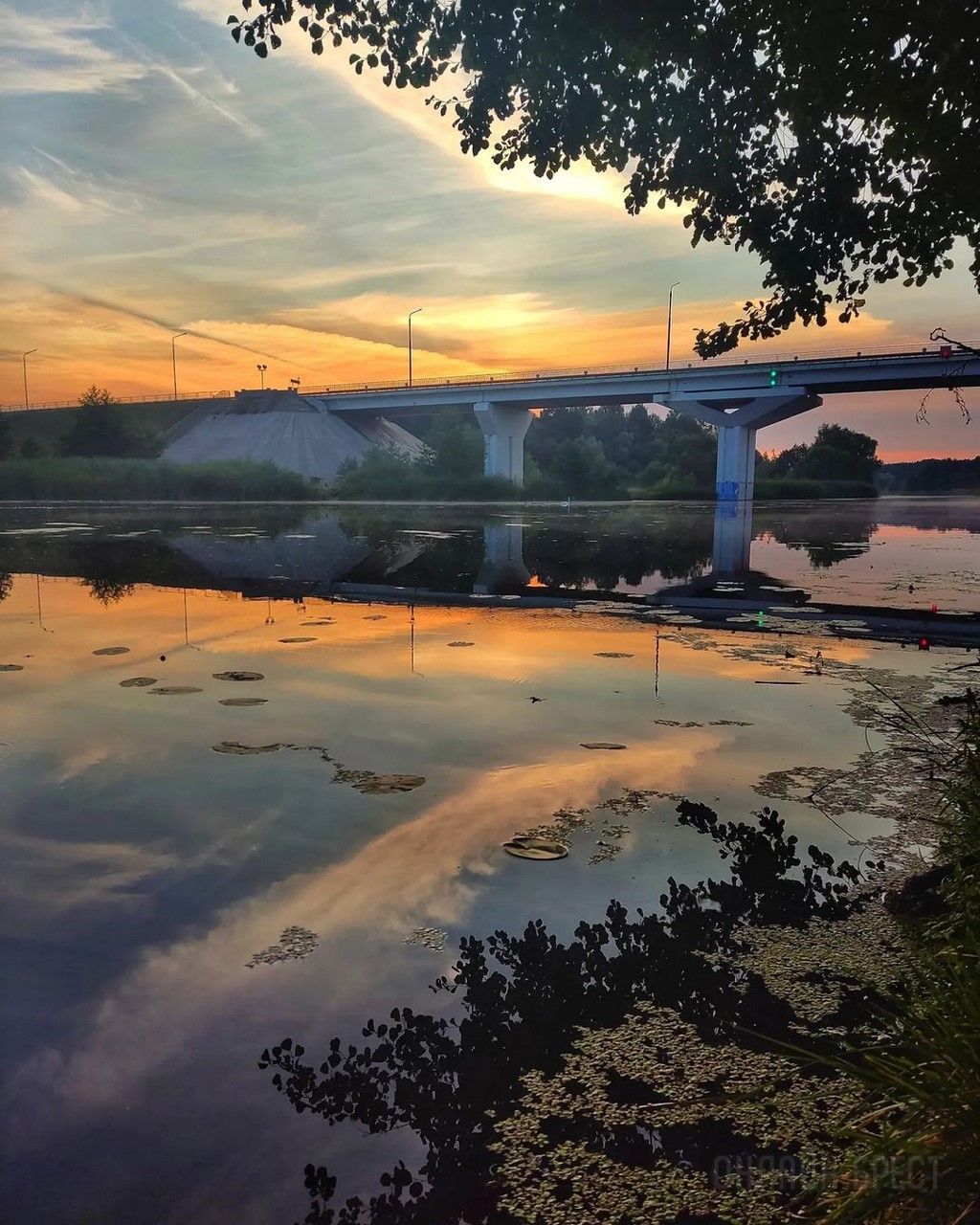 Читатель: Красивое утро! Фото сделаны в Брестской области