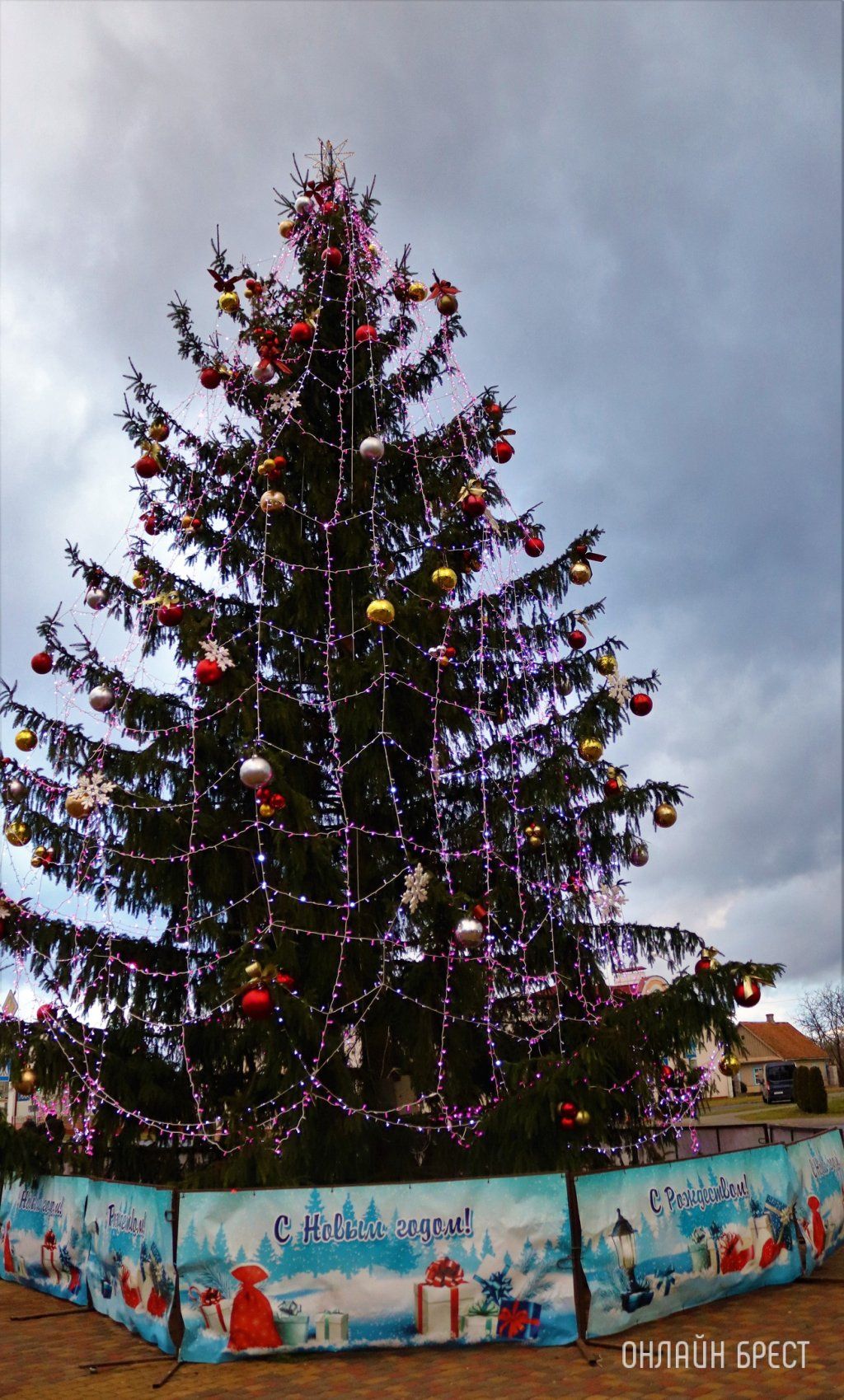 Читатель: Открытие городской ёлки в Малорите (Брестская область)