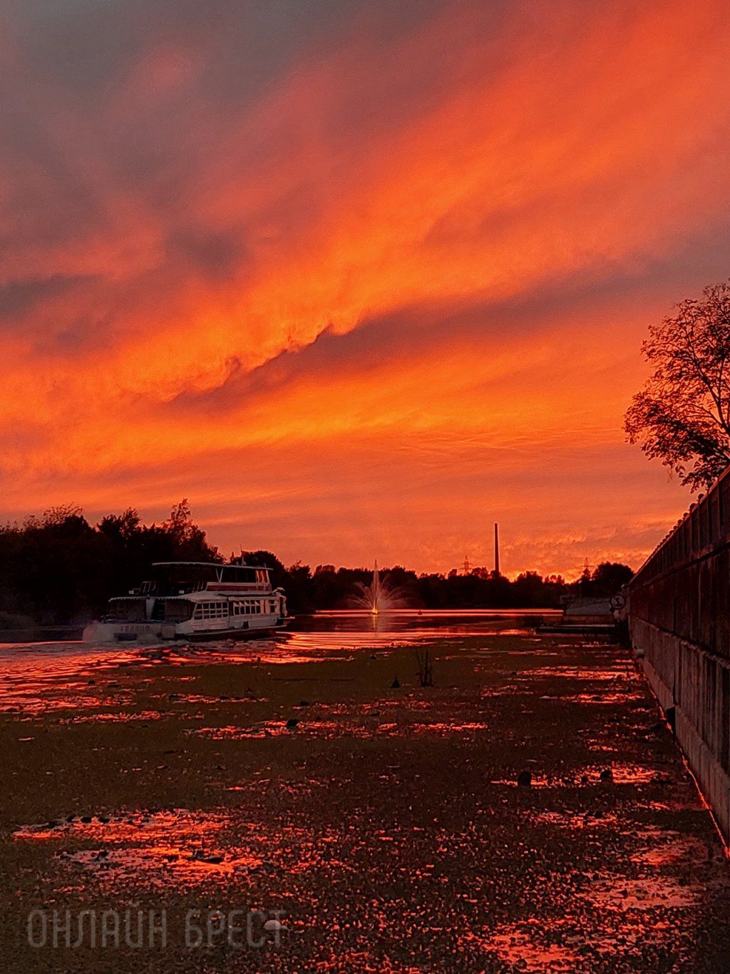 Читатель: Сегодняшний закат в Бресте