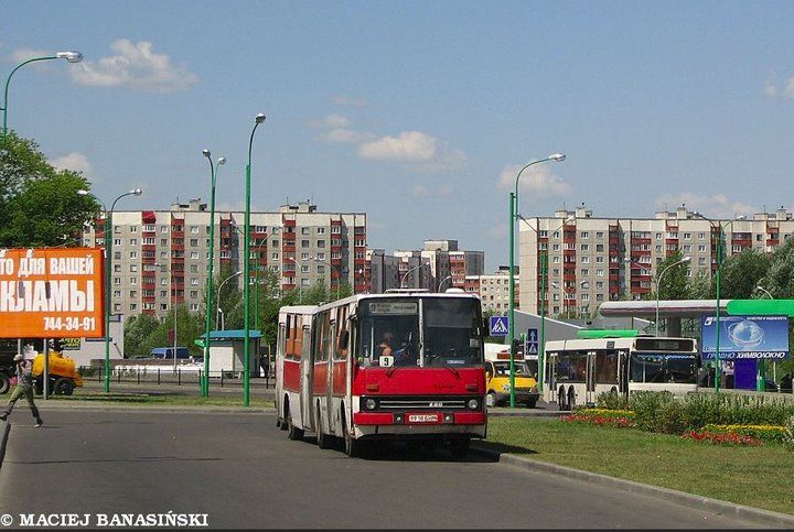 Автобусы «Икарус» на улицах Бреста